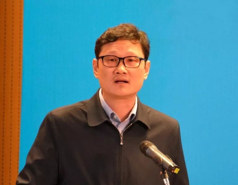 王中王一平特一肖，探寻卓越之路，王中王一平特一肖，卓越之路的探寻