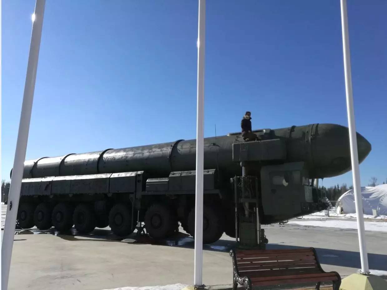 白杨M的长度探究,白杨M长度揭秘