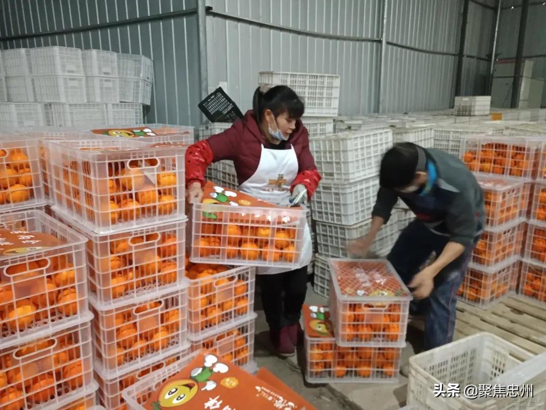 战略支援部队21基地的使命与职责，战略支援部队21基地的使命与职责解析