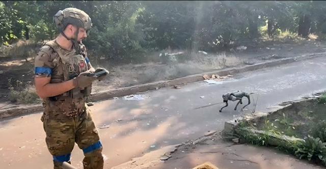 中国战斗机器狗，未来战争的新锐力量，中国战斗机器狗，未来战争的新锐力量揭秘