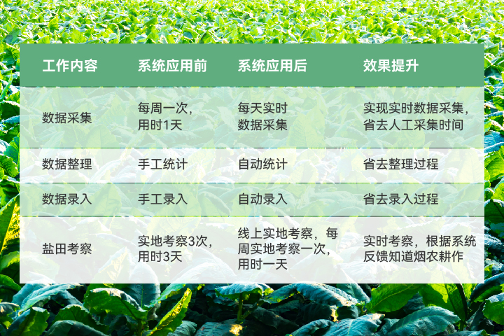 探索精准跑狗图,神秘的77777与88888的力量,揭秘精准跑狗图,神秘数字77777与88888的力量探索