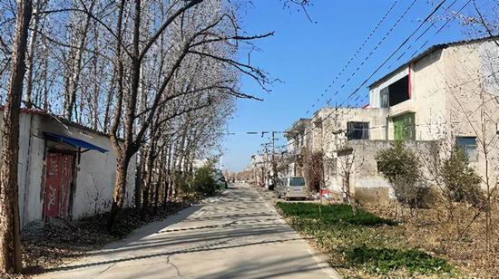 王焯冉奶奶知道了吗，一段关于爱与坚持的感人故事，关于爱与坚持的感人故事，王焯冉奶奶的未知与已知