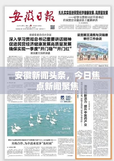 安徽新闻头条最新消息,聚焦安徽发展,一览地方动态,安徽最新发展动态,新闻头条与地方动态聚焦