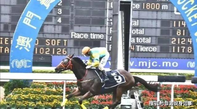 澳门赛马会,最快开奖直播的魅力与激情,澳门赛马会,直播开奖的魅力与激情瞬间