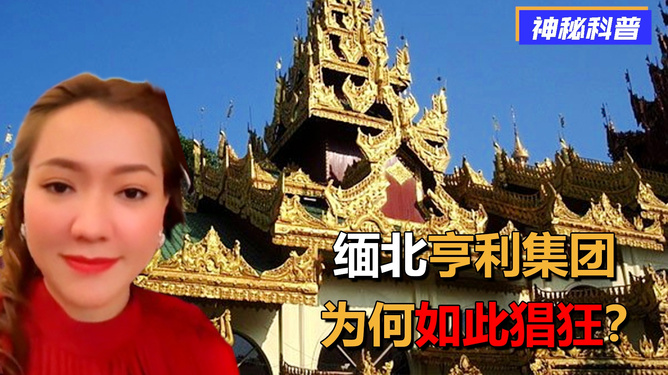 缅北亨利集团的业务与影响,缅北亨利集团的业务及其影响力