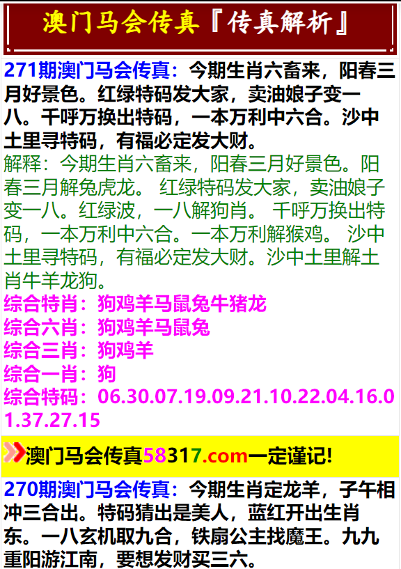 澳门一肖一码中的奥秘与探索,澳门一肖一码中的奥秘揭秘与探索