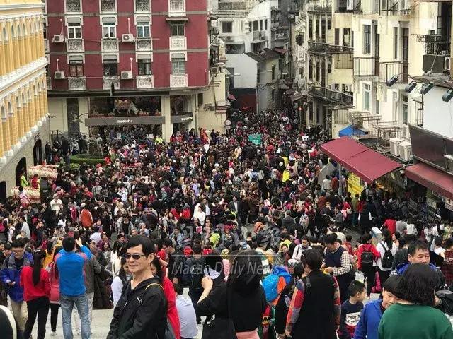 澳门最快开奖六开跑狗图——探索与解析,澳门六开跑狗图开奖探索与解析