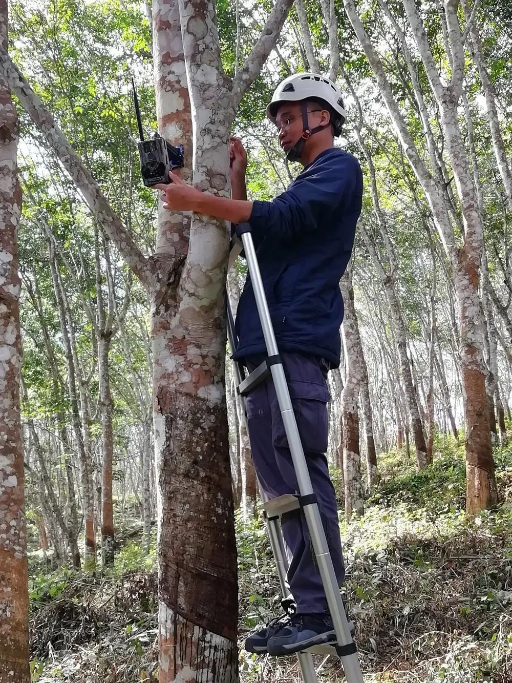 直-18预警直升机的性能解析,直-18预警直升机性能深度解析