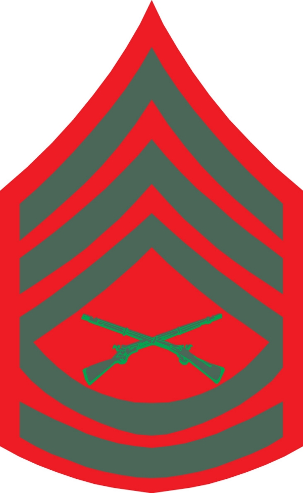 部队徽章图片大全,历史、象征与荣耀的集结,部队徽章大全,历史、象征与荣耀的辉煌集结