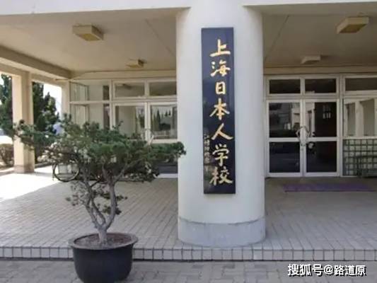 中国突击检查35所日本人学校,背景、目的与意义,中国对35所日本人学校突击检查,背景、目的与深远意义