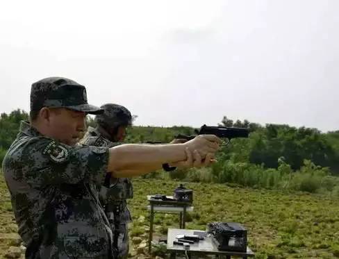 十四集团军简介介绍,十四集团军全面介绍