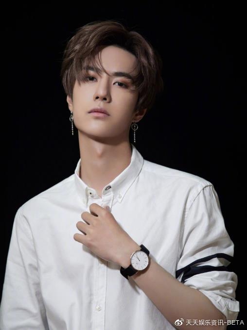 王中王一肖资料中的深度探索,王中王一肖资料深度解析