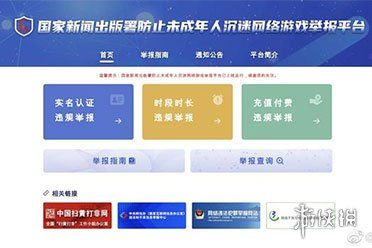 中央新闻举报平台,舆论监督的新力量,中央新闻举报平台,舆论监督的新力量崛起