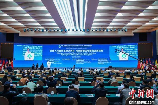 南宁论坛,城市的声音与文化的舞台,南宁论坛,城市声音汇聚,文化舞台展现风采