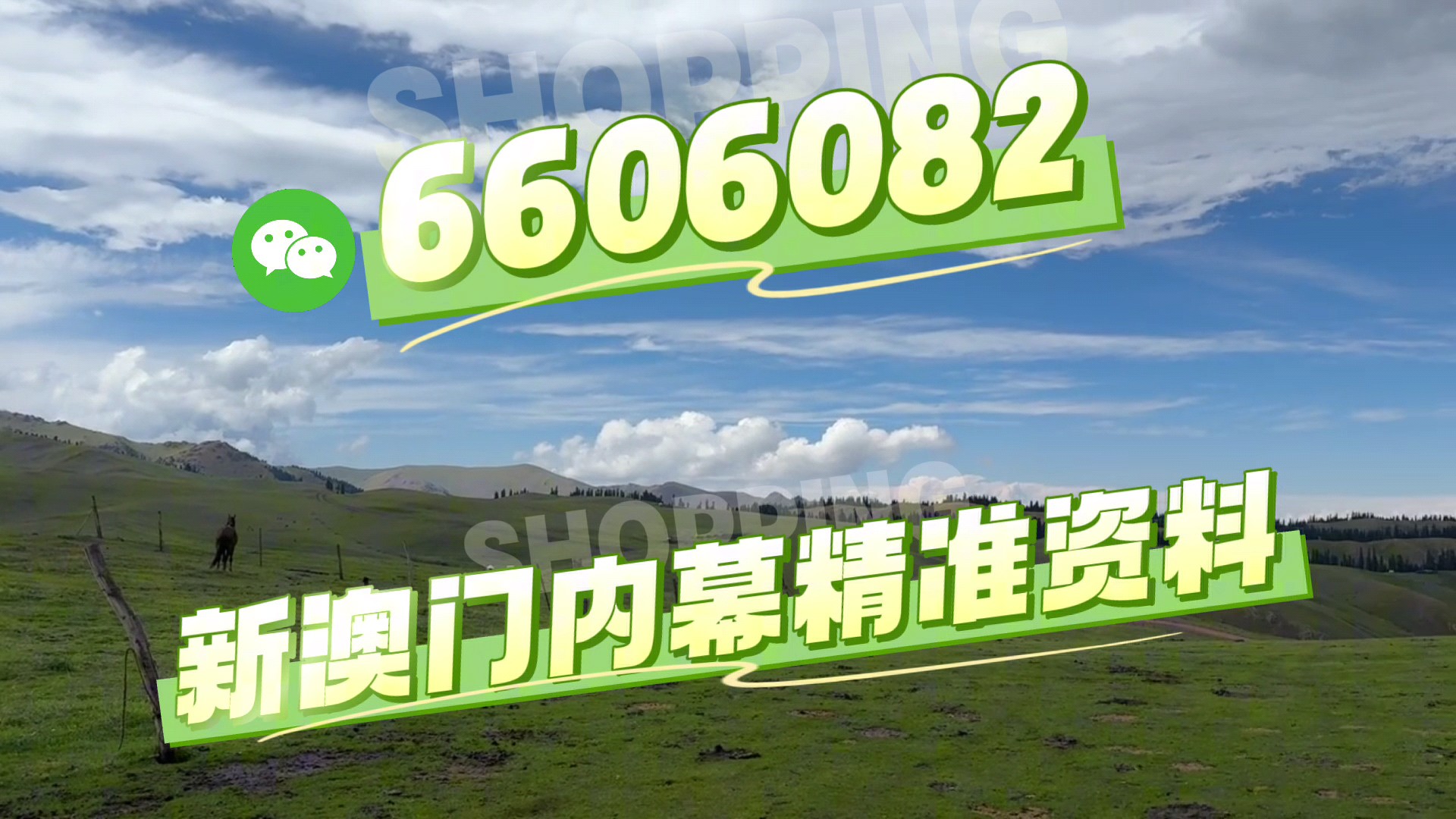 澳门一肖一码一必中一肖雷锋——探寻背后的故事与意义，澳门一肖一码背后的故事与意义探寻，雷锋精神的启示