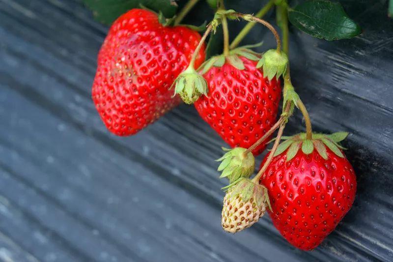 天涯论坛乡村季风，探索乡村变迁与社区发展的力量，天涯论坛乡村季风，探索乡村变迁与社区发展的力量之源