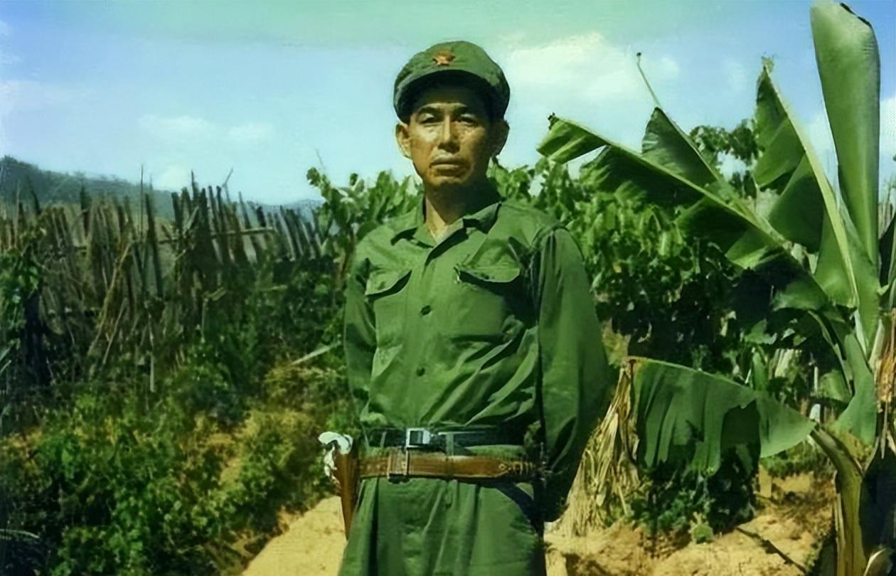 果敢同盟军占领地图,历史背景下的战略决策与影响,果敢同盟军占领地图背后的战略决策及其历史影响