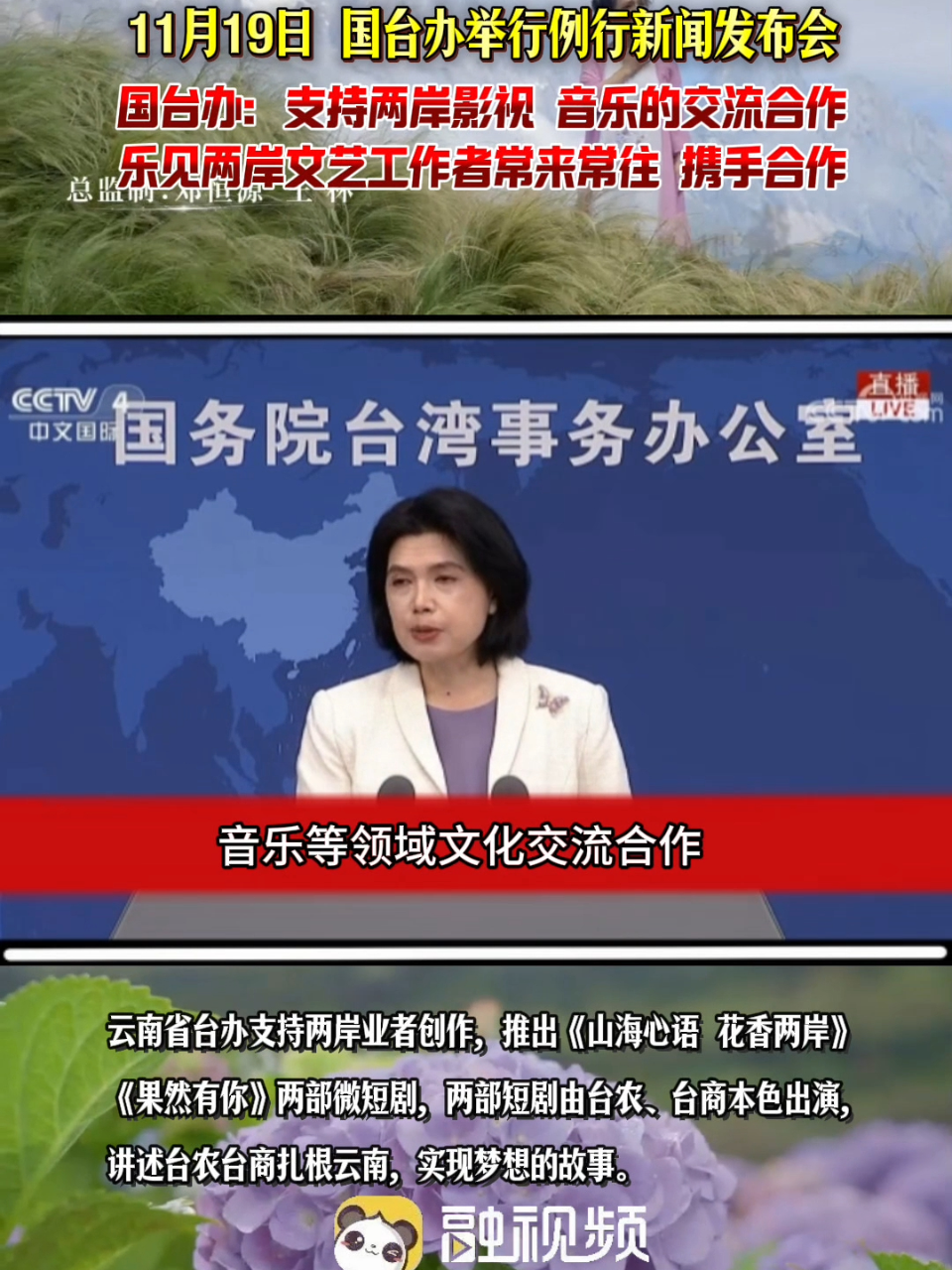 台湾最新新闻直播在线,实时掌握台湾动态,台湾最新新闻直播,实时掌握台湾动态