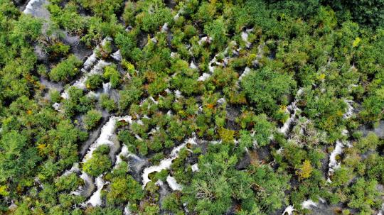 歼-10战斗机的最大升限,探索中国空中力量的巅峰之作,探索中国空中力量的巅峰,歼-10战斗机最大升限揭秘