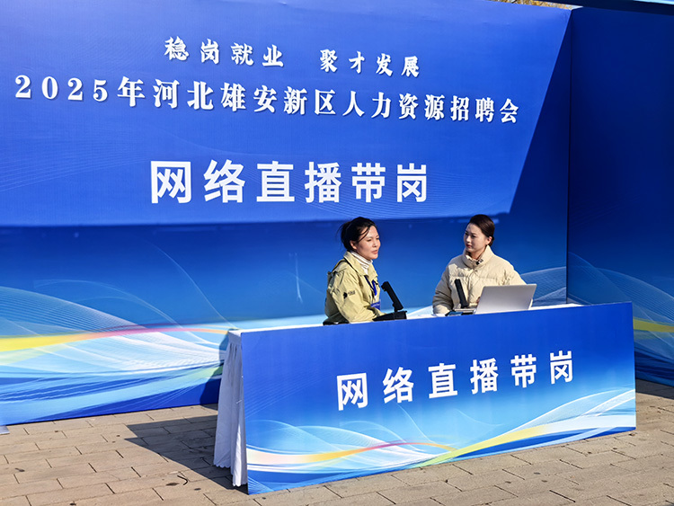 凤凰网新闻中心人力资源的卓越实践与发展,凤凰网新闻中心人力资源卓越实践与发展探索