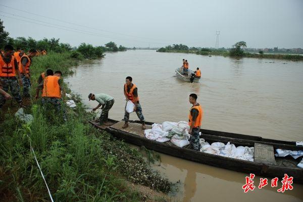 武汉黄陂空降兵名单,英勇的战士与他们的荣耀时刻,武汉黄陂空降兵荣耀名单,英勇战士的荣耀时刻