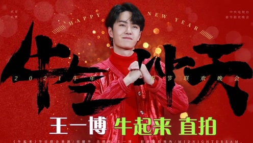 探索王中王一肖中特的神秘面纱,一场数字与特质的奇妙结合,揭秘王中王一肖中特,数字与特质的神秘交融