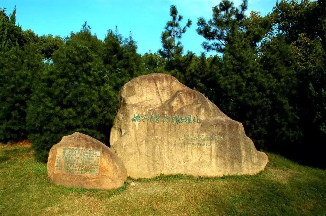 姚子青营生死之谜,是否有人幸存下来?,姚子青营生死之谜,是否有人奇迹生还?