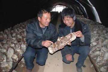 陕西省彬州市龙高镇龙马村最新新闻消息,陕西省彬州市龙高镇龙马村最新动态报道