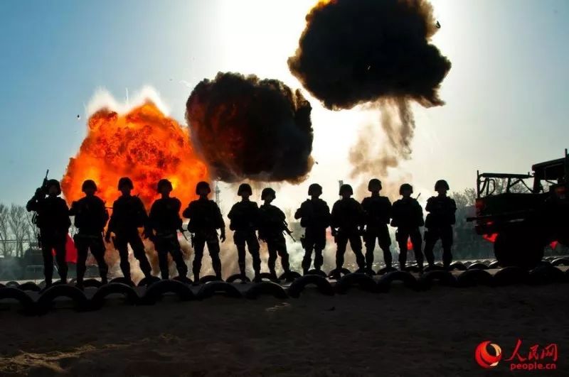 陆军能否转型为战略支援部队的关键角色,陆军转型为战略支援部队的核心角色探讨