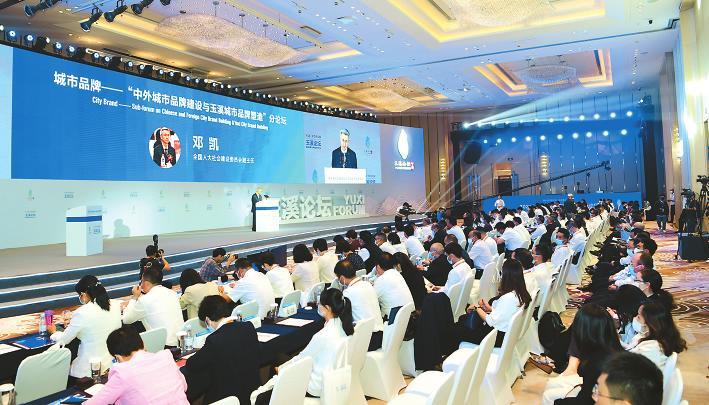 生活论坛,分享生活中的点滴与感悟,生活论坛,点滴生活感悟分享