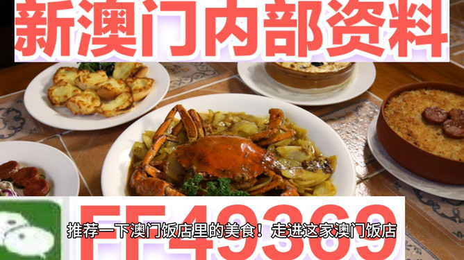 澳门未来展望,探索2025新澳门天天免费精准的未来蓝图,澳门未来展望,揭秘新澳门2025精准蓝图